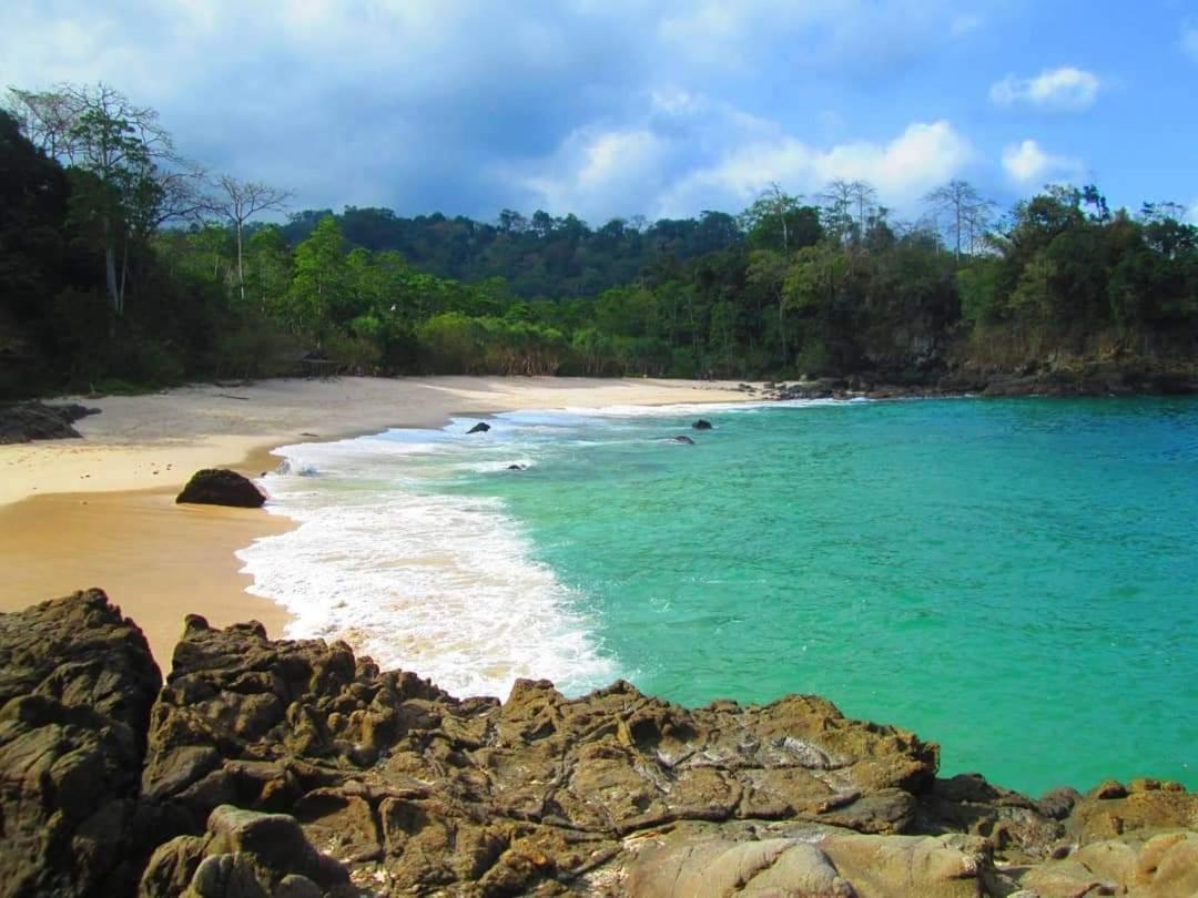Java Turtle Lodge Meru Betiri Banyuwangi  Exterior foto