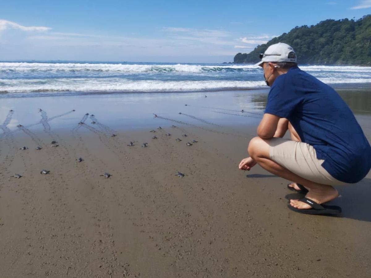 Java Turtle Lodge Meru Betiri Banyuwangi  Exterior foto