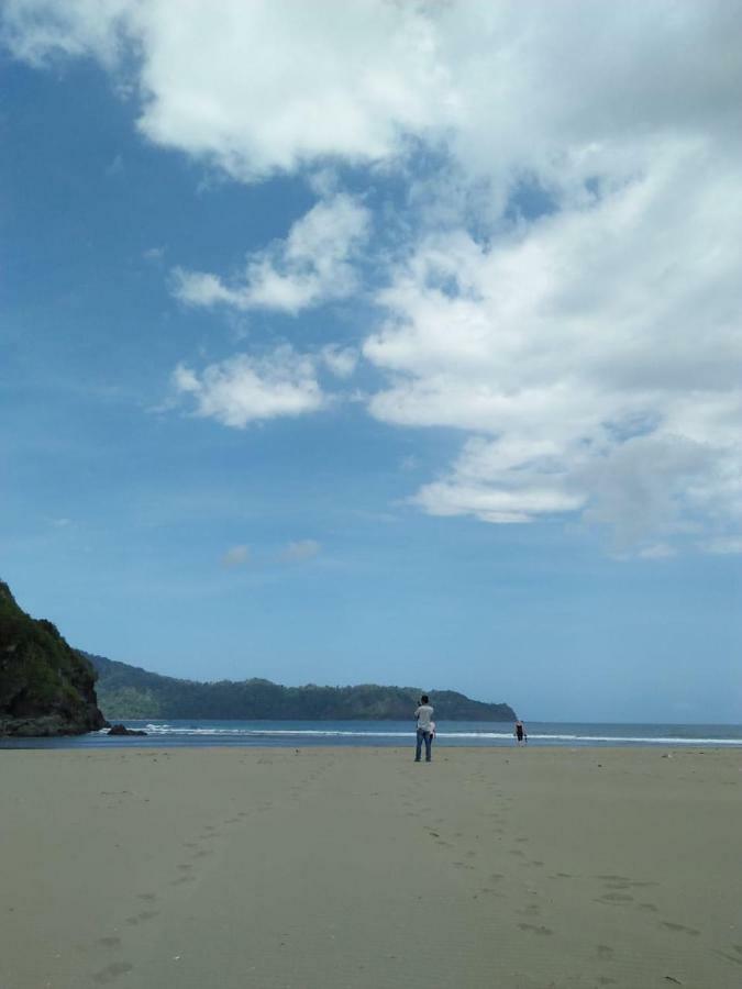 Java Turtle Lodge Meru Betiri Banyuwangi  Exterior foto