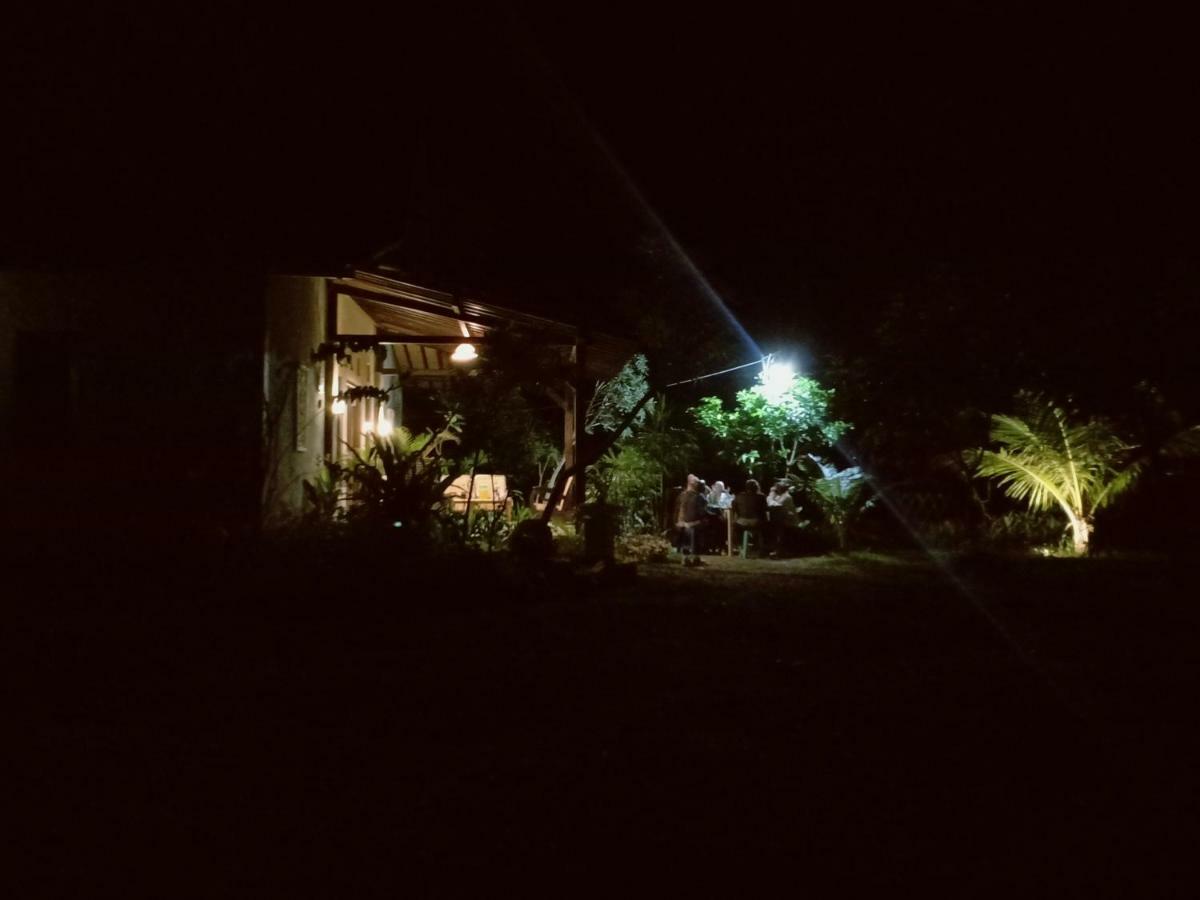 Java Turtle Lodge Meru Betiri Banyuwangi  Exterior foto