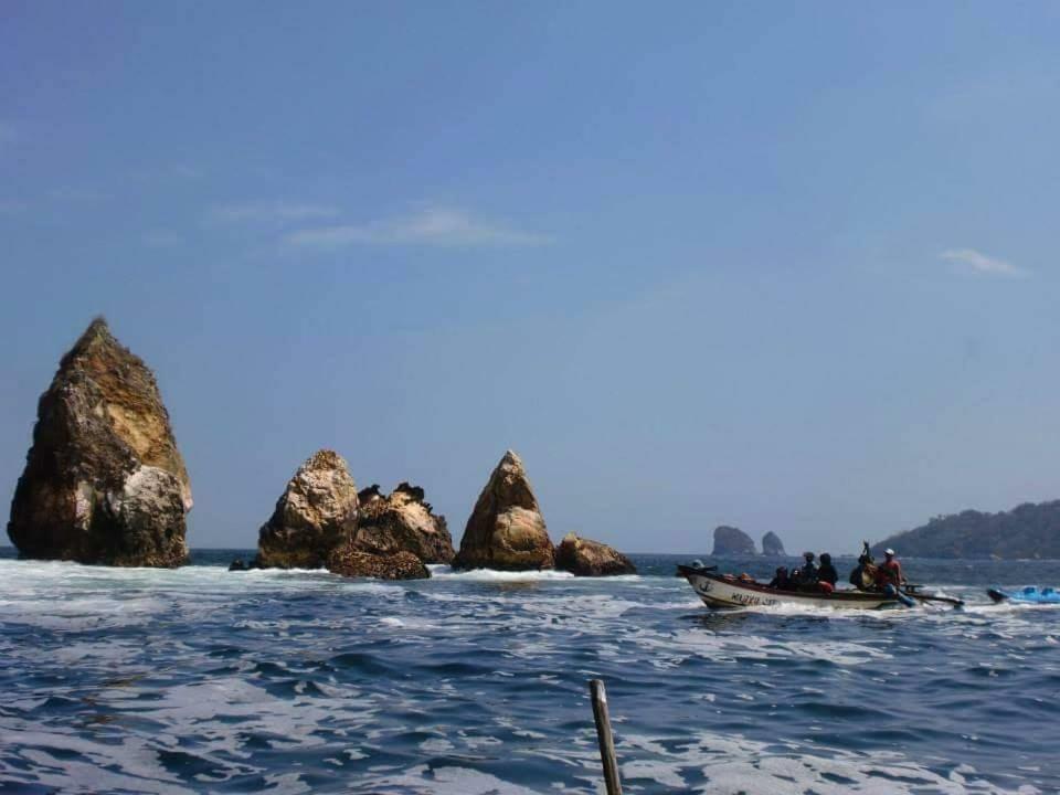 Java Turtle Lodge Meru Betiri Banyuwangi  Exterior foto